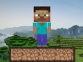 Spil Minecraft overlevelse  online