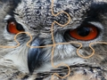 Spil Wild ugle stiksav  online