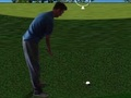 Spil Flash Golf 3d  online