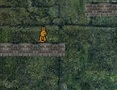 Spil Bunny Adventure  online