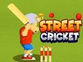 Spil Street Cricket online