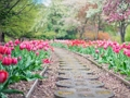 Spil Pathway stiksav  online