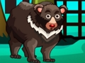 Spil Bear Escape online