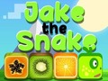 Spil Jake the Snake online