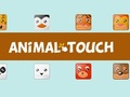 Spil Animal Toush online