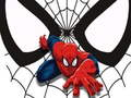 Spil Spiderman Match-kort  online