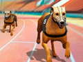 Spil Hunde 3D-løb  online