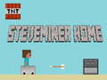 Spil Steveminer Hjem  online