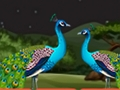 Spil Parrot Escape  online
