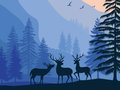 Spil Landskabsparadis skjult  online