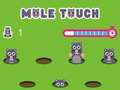 Spil Pol touch online