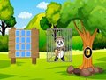 Spil Red Panda Explorer  online
