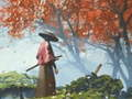 Spil Samurai refleksion  online