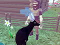 Spil Hjortesimulator 3d online
