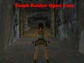 Spil Tomb Raider Åbn Lara  online