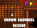 Spil Brun Squirrel Rescue online