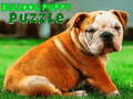 Spil Bulldog hvalpe puslespil  online