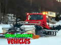 Spil Snow Groomer køretøjer  online
