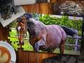 Spil Jigsaw Puzzle Horses Edition online