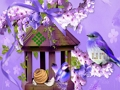 Spil Vidunderlig Humming Bird Land Escape  online