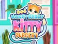 Spil Doc Honeyberry Kitty Surgery online