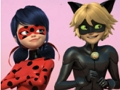 Spil Mirakuløst Mariehøne & Cat Noir puslespil  online