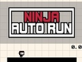 Spil Ninja Auto Run online