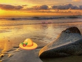 Spil Flugt fra Sunset Beach  online