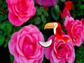 Spil Ædel Rose Escape  online