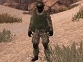 Spil Soldat of Homeland: Sahara  online
