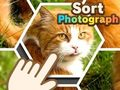 Spil Sorter fotografi  online