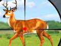 Spil Wild Hunt Jagtspil 3D  online