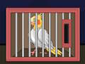 Spil Slip The Cockatiel Bird  online