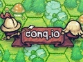 Spil Conq. io  online