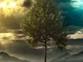 Spil Illusion Jungle Fairy Escape online
