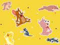 Spil Tom og Jerry Show Find det!  online