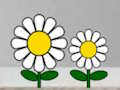 Spil Find sukkulentplante  online