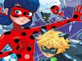 Spil Ladybug Find forskellene  online