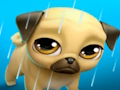 Spil Mit virtuelle kæledyr Louie the Pug  online