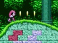 Spil Mighty & Ray i Sonic 2  online