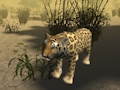 Spil Afrikansk Gepard Jagt Simulator  online