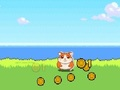 Spil Hamster Kombat Clicker online