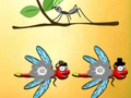 Spil Find Dragonfly Cooper online