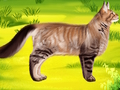 Spil Cat Pet Doctor Tandlæge  online