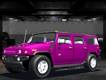 Spil Wild Race Master 3D online
