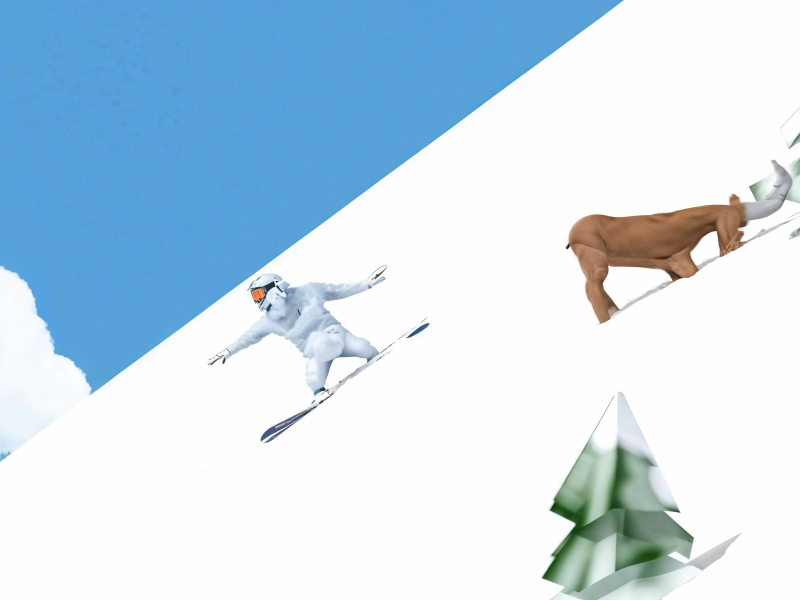 Spil Snowboard Frenzy online