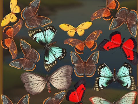 Spil Mergebuterfly: 2048! online