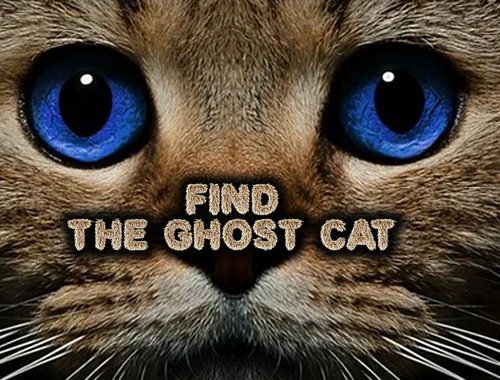 Spil Find Ghost Cat  online