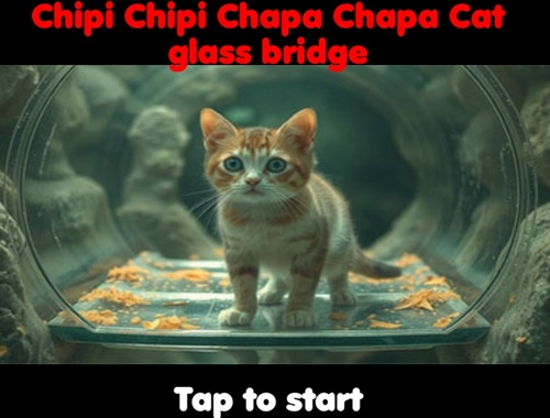 Spil Chipi Chipi Chapa Chapa Cat Glass Bridge  online