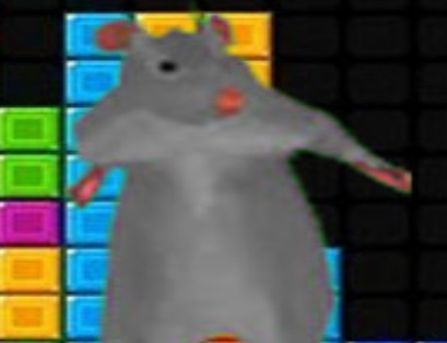 Spil Ratomilton faldende blokke  online